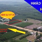 Bán gấp lô đất 4861m2 tâm huyết - siêu vị trí chiến lược - siêu hiếm - mặt tiền nguyễn hữu cảnh