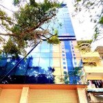 Siêu hiếm building mặt phố hoàng cầu - mt khủng 10.2m - view hồ - dt 216.05m2 - 107.1tỷ