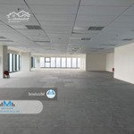 Văn phòng sàn lớn 500 - 700m2, bãi xe rộng, có thể làm việc giờ khuya - mizuland