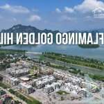 (hot) bán liền kề view đẹp tại flamingo golden hill, giá cực chất chỉ 5,8 tỷ vnd, 7x15m, 3,5 tầng