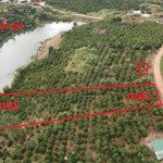 đất ngộp 2.000m2 sẵn 100m2 tc ven đà lạt, chỉ 750 ngàn/1m2