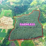 11,6ha cao su bằng như sân bay đắk nông, mặt tiền nhiều tại xã đắk ha huyện đắk glong