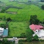 Bán gấp lô đất đẹp vuông vắn, view cánh đồng, phù hợp đầu tư lâu dài, xây nhà