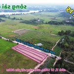 Bán đất gần sông sài gòn xã phú mỹ hưng huyện củ chi tphcm