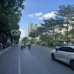 Bán nhà trần thái tông, kinh doanh vô địch, để xe 50 chiếc, ô tô tránh 99m2 5 tầng, 24 tỷ
