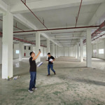 Cho thuê nhà xưởng 1800m2 tại khu vực tế tiêu - mỹ đức - hà nội