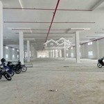 Cho Thuê Trong Kcn Tân Đô - Hải Sơn - Tổngdiện Tích7.000M2 (Kho 4.000M2) - Giá Bán 300 Triệu/Tháng