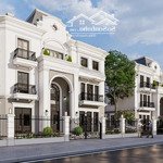 Bán gấp shophouse 110m2 tại the terra văn phú bắc giang kinh doanh buôn bán được ngay