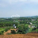 Bán 4900m2 view đẹp đông xuân, quốc oai, hà nội 4 mặt là view đẹp thoáng giá hơn 2 triệu/m2