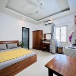 New-room cửa sổ trời cách mạng tháng tám 30m2, q3