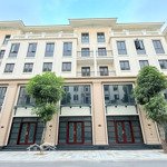 Bán gấp shophouse lâu dài thời đại 17, chân đế chung cư, vinhomes ocean park 3, vốn tự có 3 tỷ