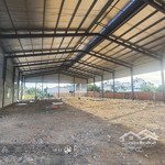 Cho thuê 2 nhà xưởng mới 1000m2 và 2000m2 đang hoàn thiện tại an phú đông . q12.