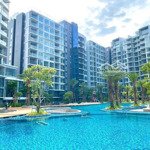 Rổ hàng căn hộ cho thuê diamond cao cấp nhất celadon city, 2 phòng ngủcó loại cơ bản và full nội thất