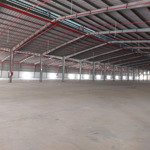 Cho thuê xưởng 19.000m2 và 6500m2. giá 62.817,5 đ/m²/tháng. cụm công nghiệp tân uyên, bình dương