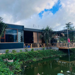 Bán farm stay ( khu vườn nghĩ dưỡng ) view đỉnh đồi, tuyệt đẹp