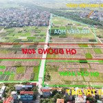 Mở bán hoa hậu bìa làng nguyên khê - qh đường 40m trước mặt.