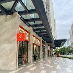 Cho thuê shophouse chân đế chung cư và các loại căn hộ thấp tầng tại vinhomes ocean park 1