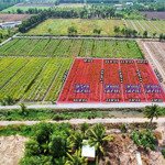 Bán 500m2 đất vườn - đường đá xanh 3m giá 420tr