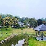 Biệt thự resort hòa bình phong cách nhật bản - sổ đỏ lâu dài - giá bán 3.1 tỷ. liên hệ: 0978167564