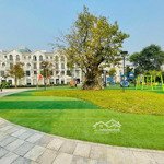 Bán nhanh liền kề sao biển 70m2 mặt công viên 4000m2 giá 16 tỷ vinhomes ocean park gia lâm hà nội