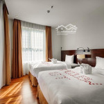 Khách sạn 3* 2mt phố an thượng - cách biển 300m - dthu khủng 5tỷ/năm - 143m2 ngang 14m - ts 10%năm