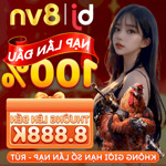 Bj8vn - bj88 đá gà thomo