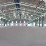 Cho thuê xưởng 10.000m2 ở đức hòa, long an giá 2.5usd/m²/tháng lh: 0949 861 287