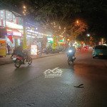 Bán đất tặng nhà 4 tầng mặt phố vũ tông phan,kinh doanh, 31,5 tỷ, 110m2, 4 phòng ngủ 3 vệ sinh pháp lý đầy đủ