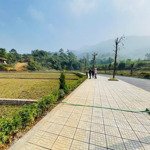 Bán đất tại đường phú mãn, xã phú mãn, quốc oai, hà nội, 4,686 tỷ, 350m2 sổ đỏ cầm tay.