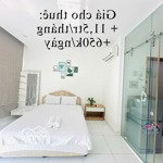 Cho thuê căn hộ mini 1pn1wc 30m2 ngay cách mạng tháng 8 quận 10