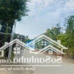 Bán lô đất ở hướng đông nam đẹp 56m2, kdc đảo thịnh vượng, giá chỉ 2,8 tỷ