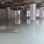 Mặt bằng tòa 67 trần phú (8b lê trực) ngân hàng, showroom, cafe... 85m2, 150m2, 1000m2. giá 650n/m2