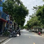 Chính chủ gửi bán lô đất 300m2, lô góc hai mặt đường to tại phúc lợi, chia được lô nhỏ thoải mái