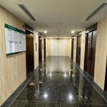 Cho thuê căn hộ chung cư green diamond 93 láng hạ, 28 triệu, 142 m2, 3 phòng ngủ 2wc