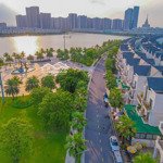 Bán shophouse sổ vĩnh viễn ha2 96m2 tại vinhomes ocean park gia lâm, 19 tỷ