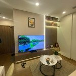 Mời thuê căn hộ 1 phòng ngủ- nội thất đẹp - tòa s premium , chung cư sky oasis ecopark