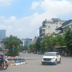 Bán đất thụy khuê - tây hồ 115m2,mặt tiền7,5m, giá bán 13,6 tỷ.