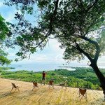 Chính chủ gửi bán sỉ 4 lô sổ riêng, view hồ trị an, sát kdl tropical eglamping mà giá chỉ 500 triệu/ sổ