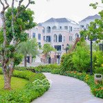 Bán tứ lập hải âu,120m2, mặt tiền 8m, giá 14,x tỷ - vinhomes ocean park 2