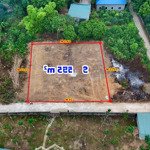 Hàng hiếm tại xã kim long, tam dương, vĩnh phúc 575m2, giá chỉ hơn 3 tr/m2