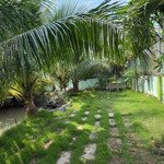 Bán farm nghỉ dưỡng - đường lê văn lương - nhơn đức - nhà bè. dt: 650m2