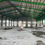 Cho thuê kho xưởng 20000m2 trong kcn nam thuận, đức hòa, long an