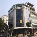 Cho thuê mbkd nguyễn văn lộc-hđ,diện tích300m2, 5 tầngmặt tiền32m, giá bán 350 triệu/th.cực phẩm siêu vip. liên hệ: 0912768428