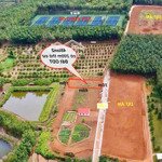 Bán đất đt 741 xã phú riềng - bình phước giá bán 250 triệu có 450 m2 view hồ cực đẹp chính chủ