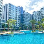 Rổ hàng căn hộ cho thuê diamond cao cấp nhất celadon city, 2pn có loại cơ bản và full nội thất