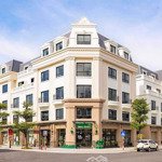 Bán shophouse 4 phòng ngủ 4 vệ sinh 77.5m2 giá siêu hời tại vinhomes golden avenue móng cái, quảng ninh