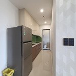 Cho thuê căn hộ 2pn, 2wc, 65m2 tại biconsi tower, phú lợi, thủ dầu một, 8,5 triệu có nội thất l11