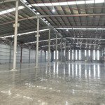 Cho thuê kho xưởng 10000m2 trong kcn hựu thạnh, đức hòa, long an