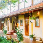 Cơ hội đầu tư bđs dòng tiền tại măng đen - sở hữu ngay homestay 1000m2 có 10 phòng