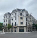 Cần bán gấp shophouse tại sao biển 5-10, vinhomes dream city, 90m², 5 tầng, căn góc, giá bán 16,95 tỷ